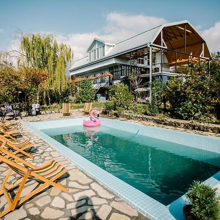 Hotel Chateau Dzveli Gavazi Akhalsopeli  Esterno foto